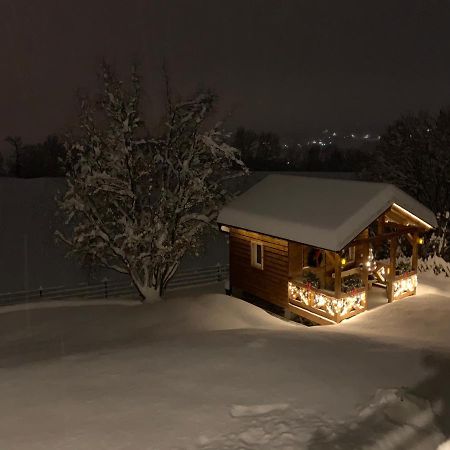 Апартаменти Schwalbennest Velden Фельден-ам-Вертерзе Екстер'єр фото