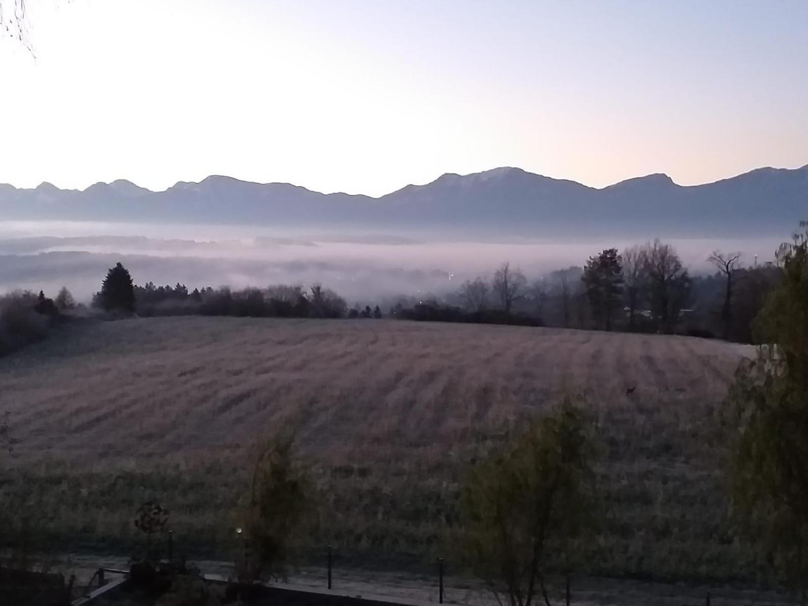 Апартаменти Schwalbennest Velden Фельден-ам-Вертерзе Екстер'єр фото